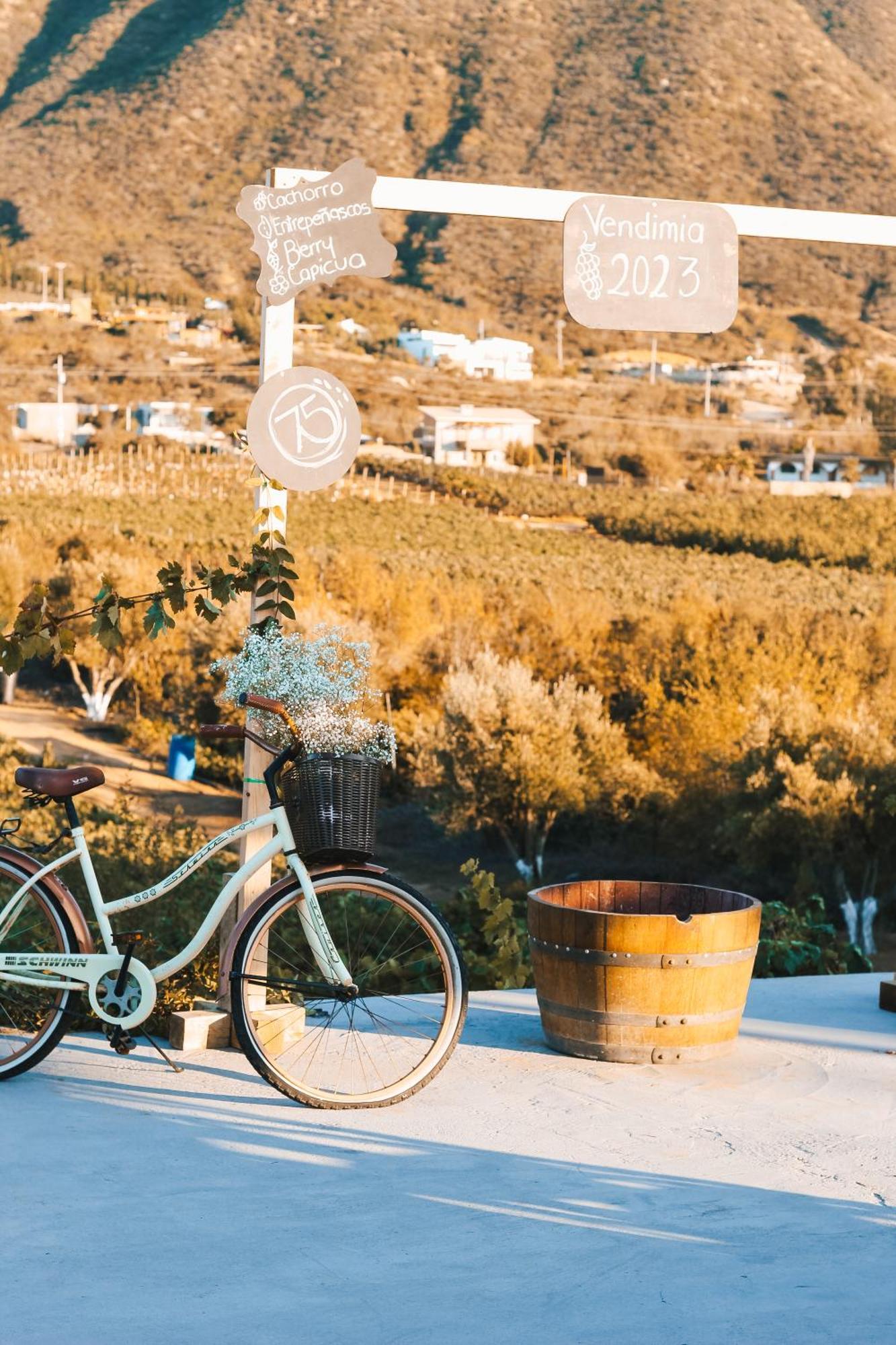 Origen75 Loft - Villas - Skypool - Vinedo, Valle De Guadalupe Zewnętrze zdjęcie