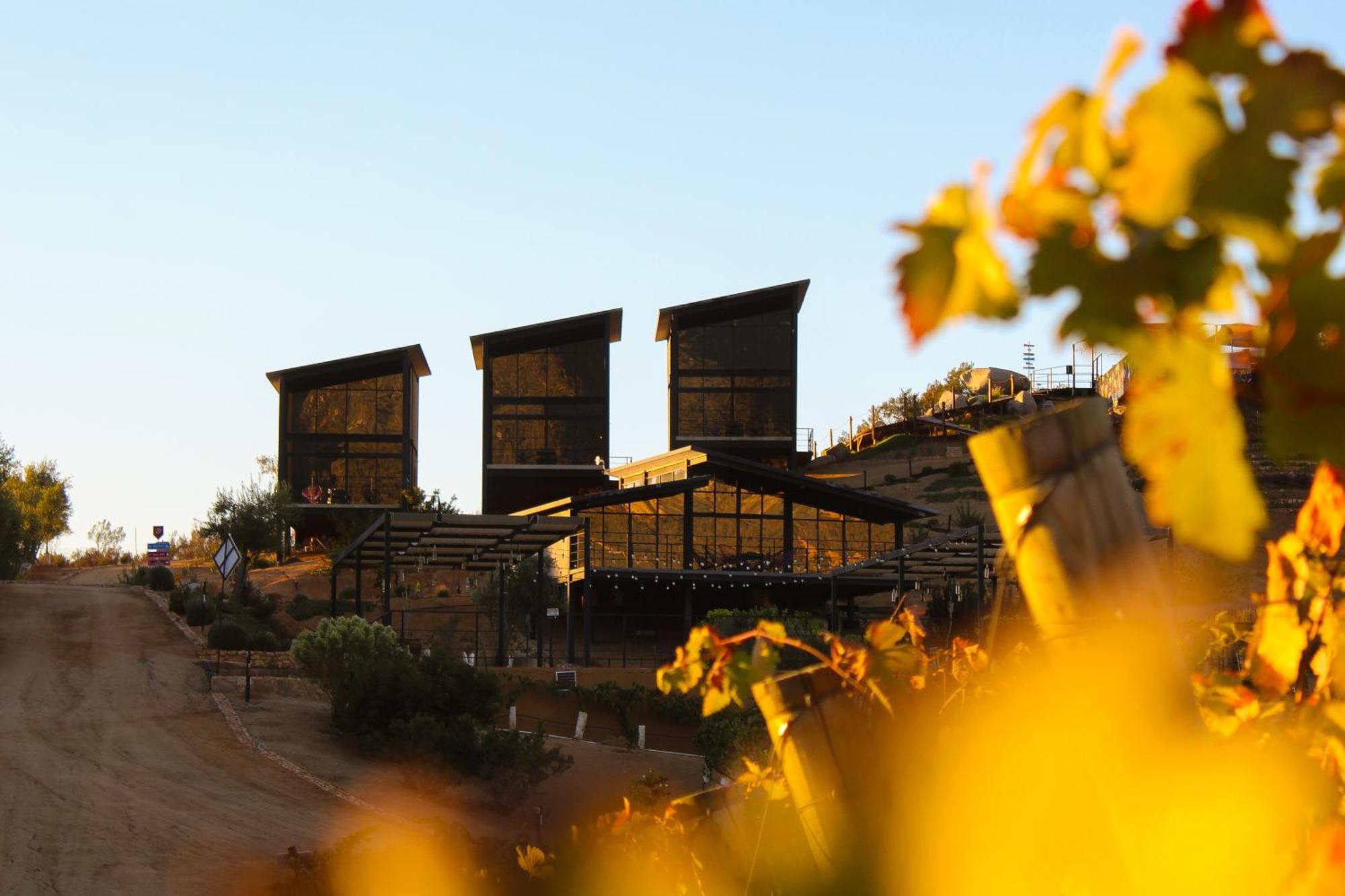 Origen75 Loft - Villas - Skypool - Vinedo, Valle De Guadalupe Zewnętrze zdjęcie